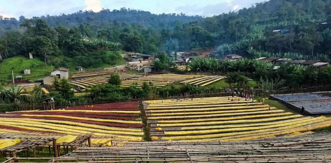 Campbell & Syme - Haru, Ethiopia 250g