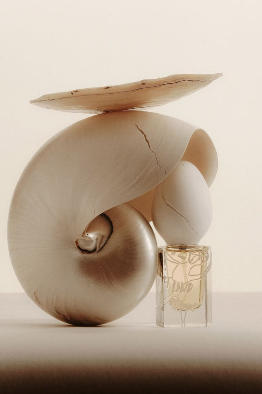 Perfume Who At Land EDP 30ml