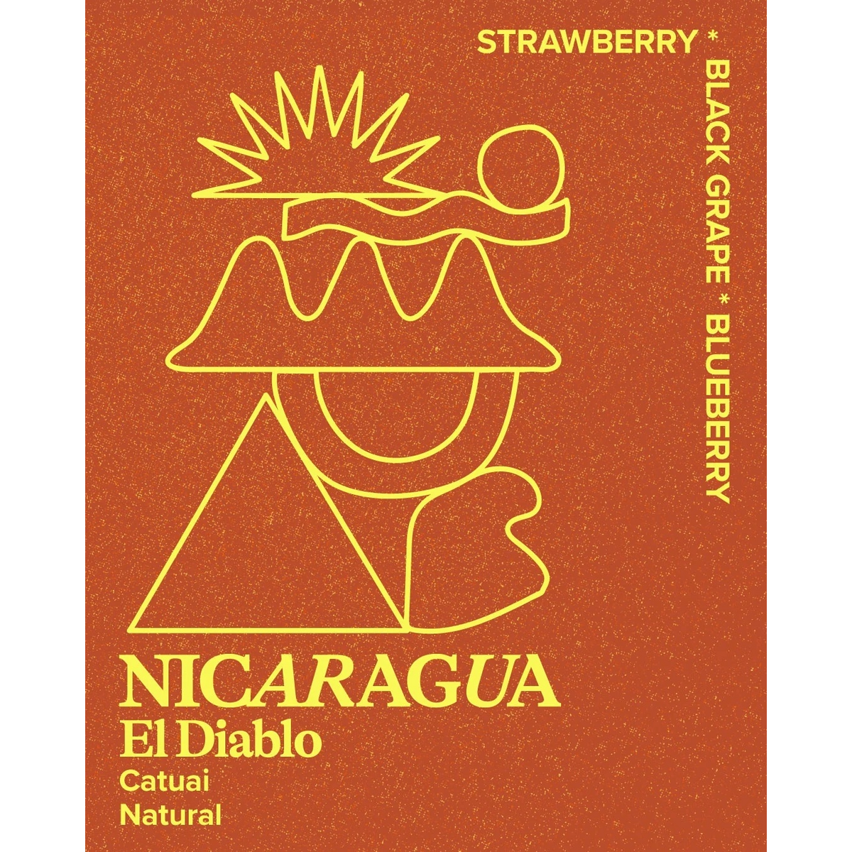 Hundred House - El Diablo, Nicaragua 227g
