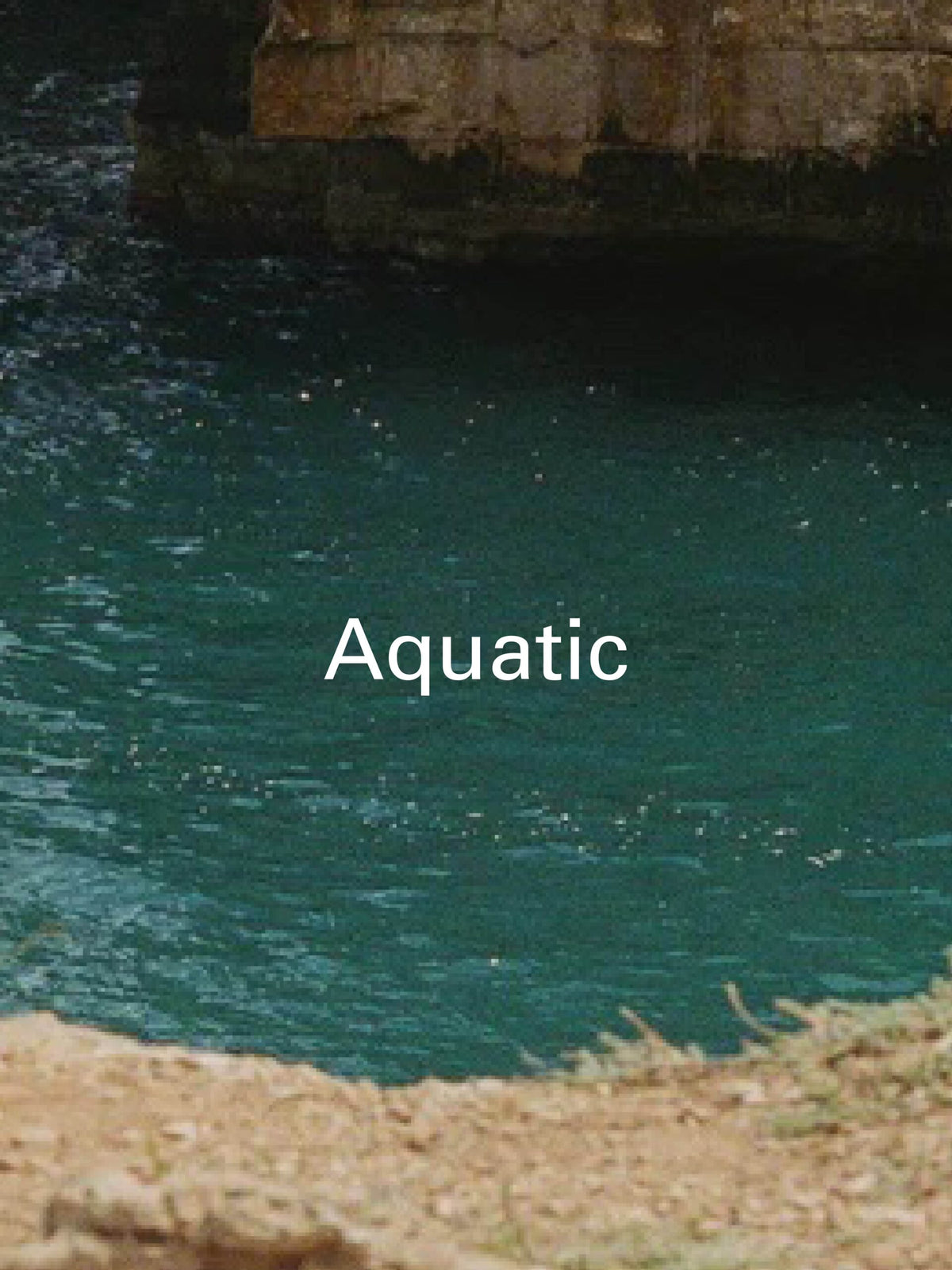 Aquatic hero