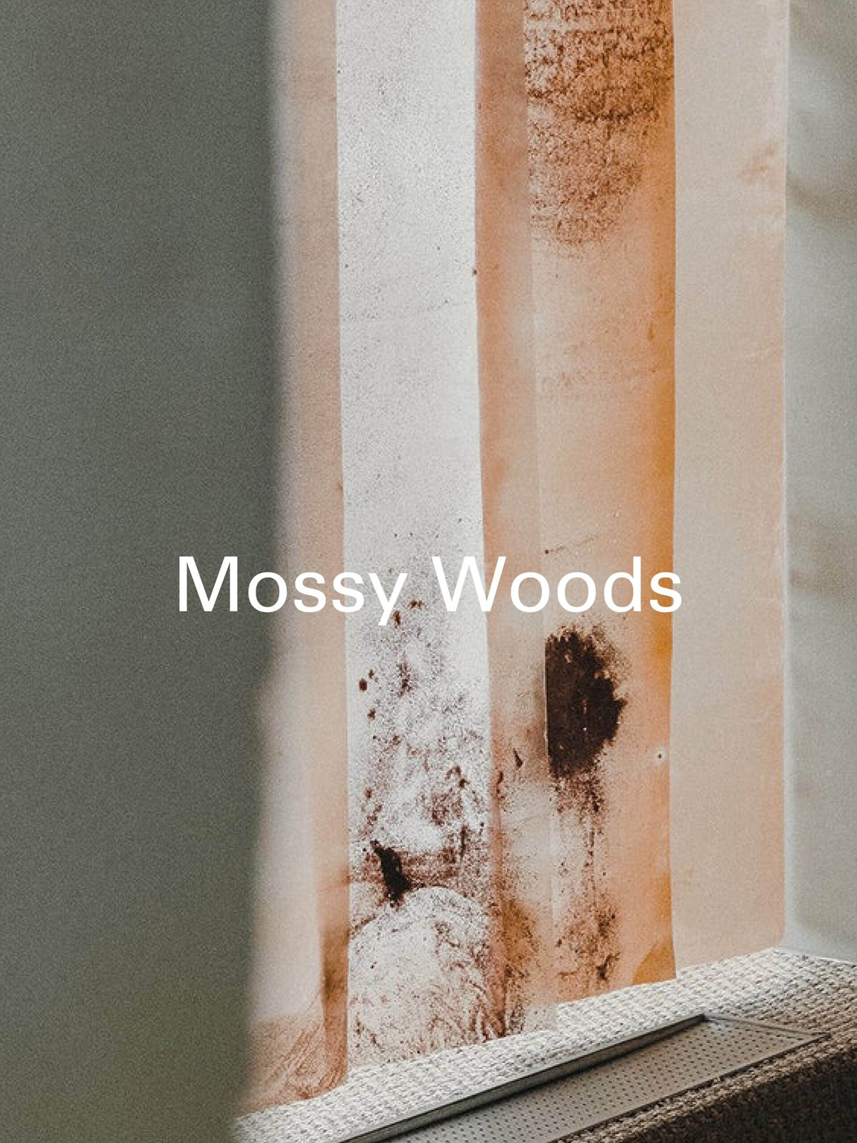 Mossy Woods hero