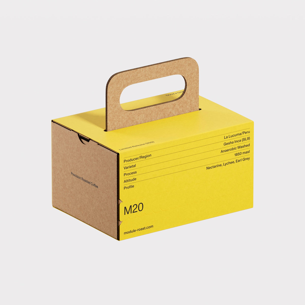 Module M20 200g | Peru