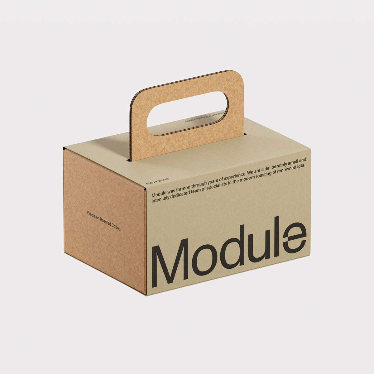 Module M21 200g | Panama