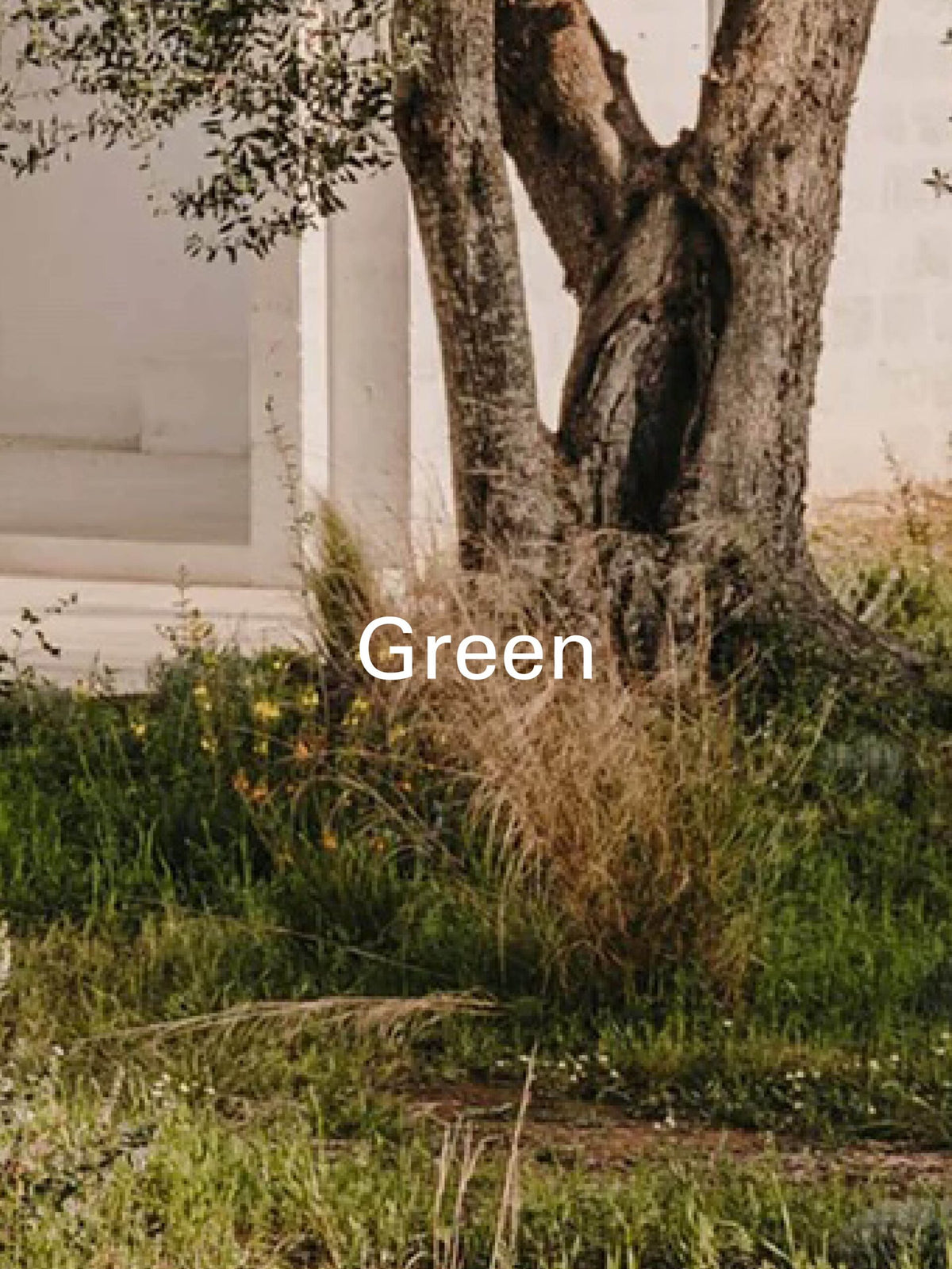 Green hero