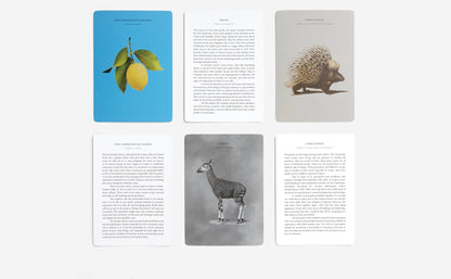 39C7201B 9FDD 49EB B5DB 7EDCA6757073
