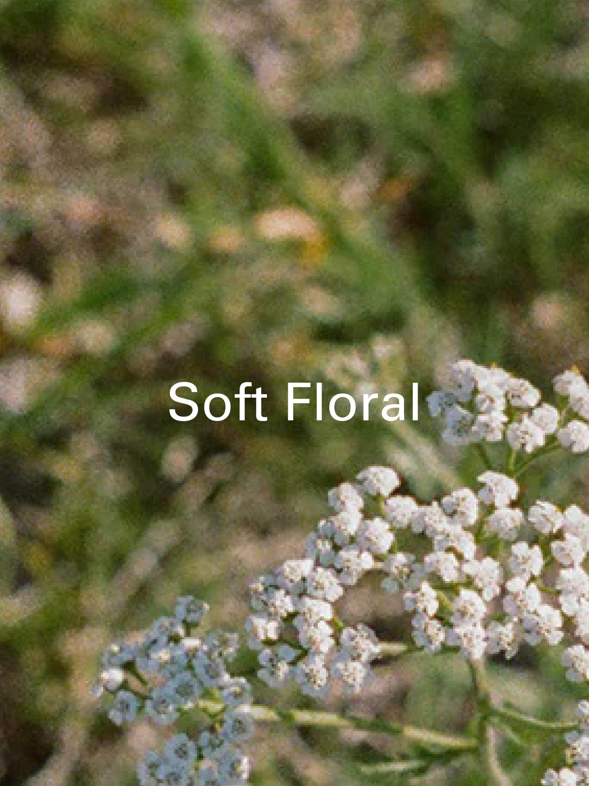 Soft Floral hero