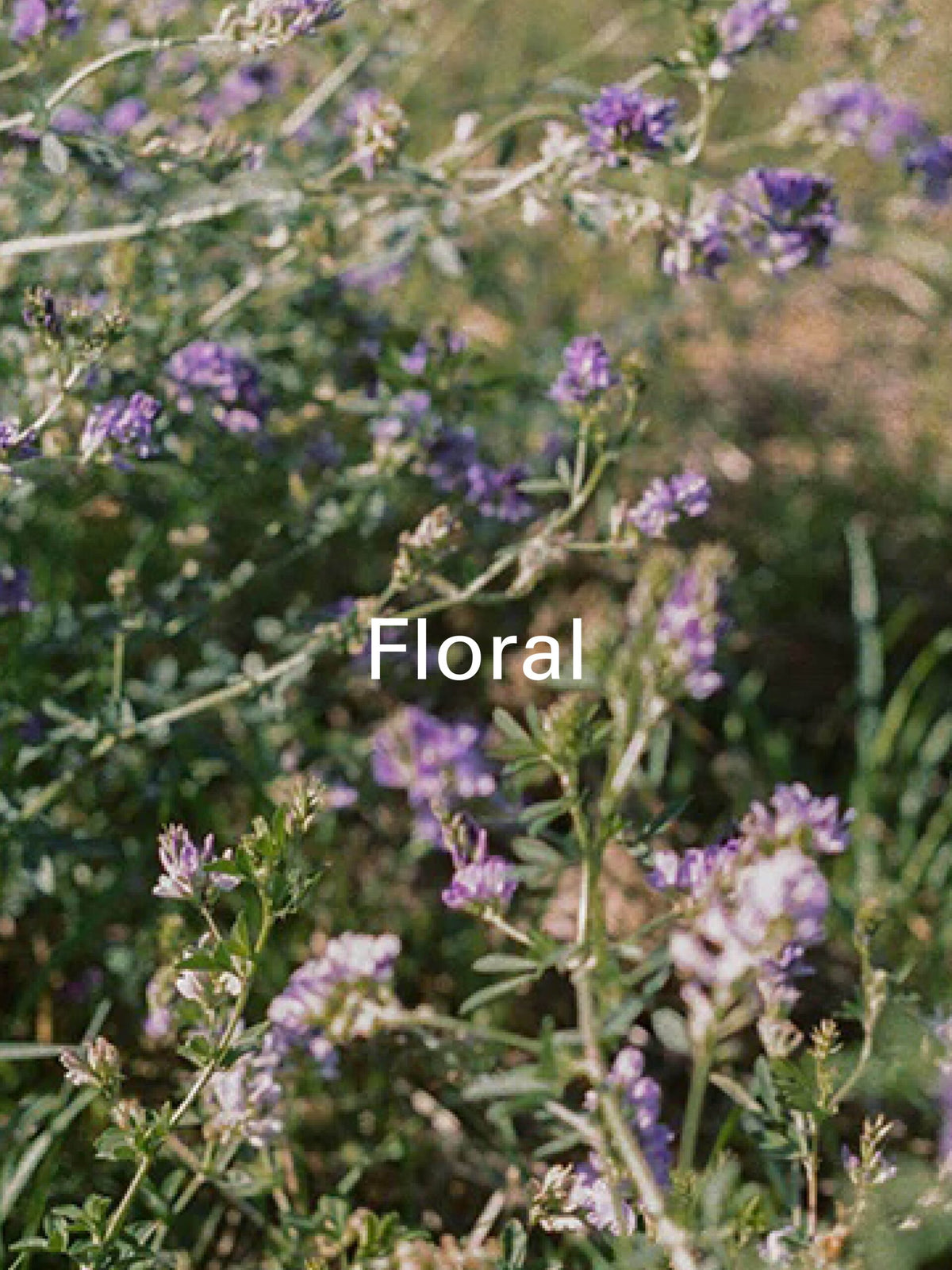 Floral hero