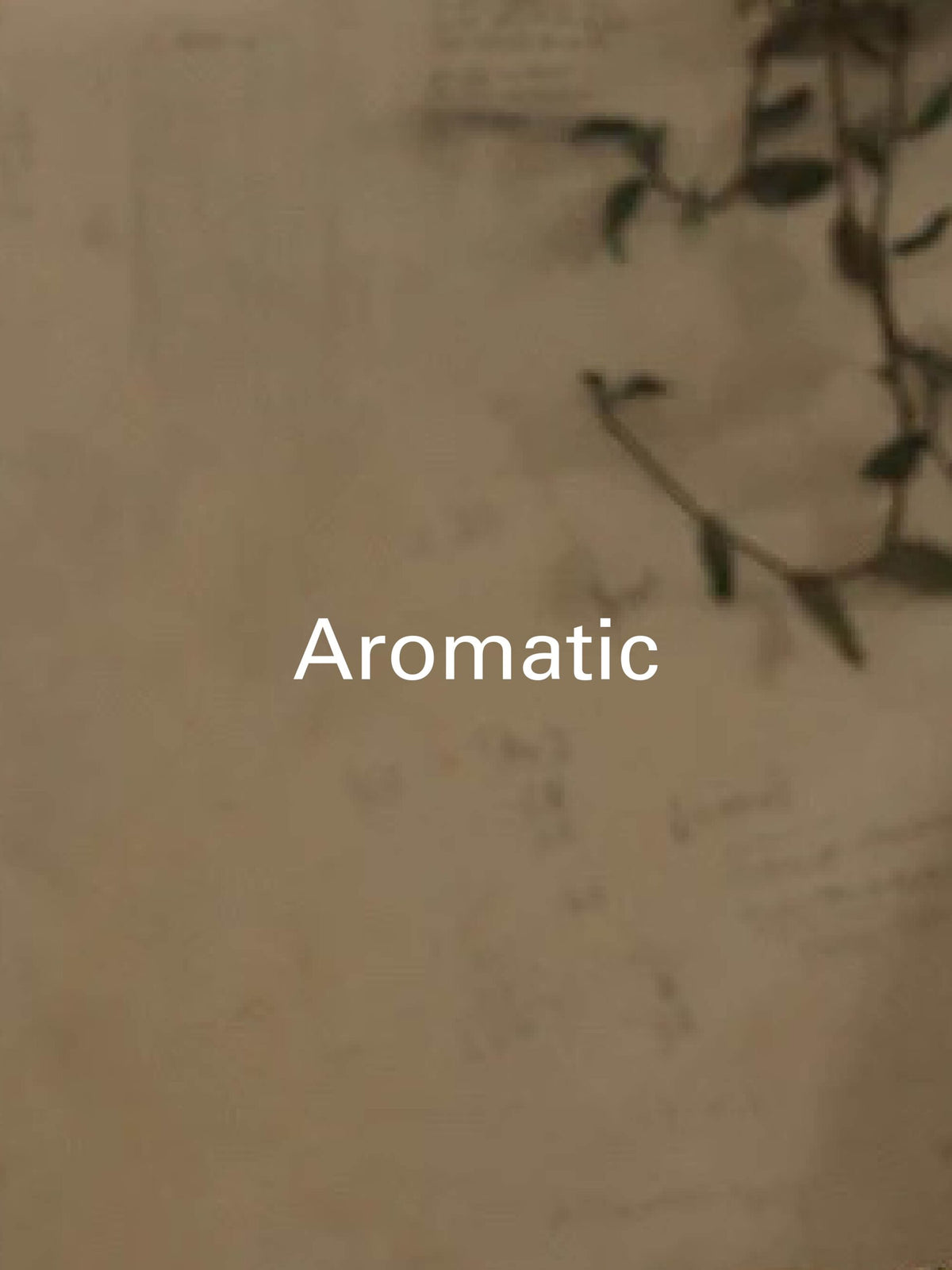 Aromatic hero