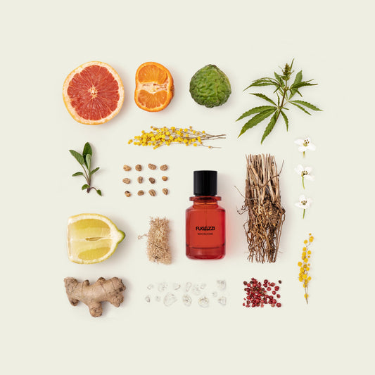 
FUGAZZI Nocologne Extrait Sample 2ml