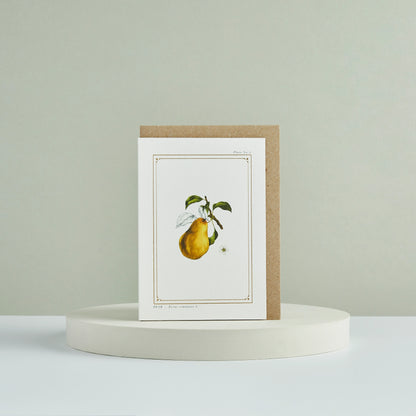 IMG 0549