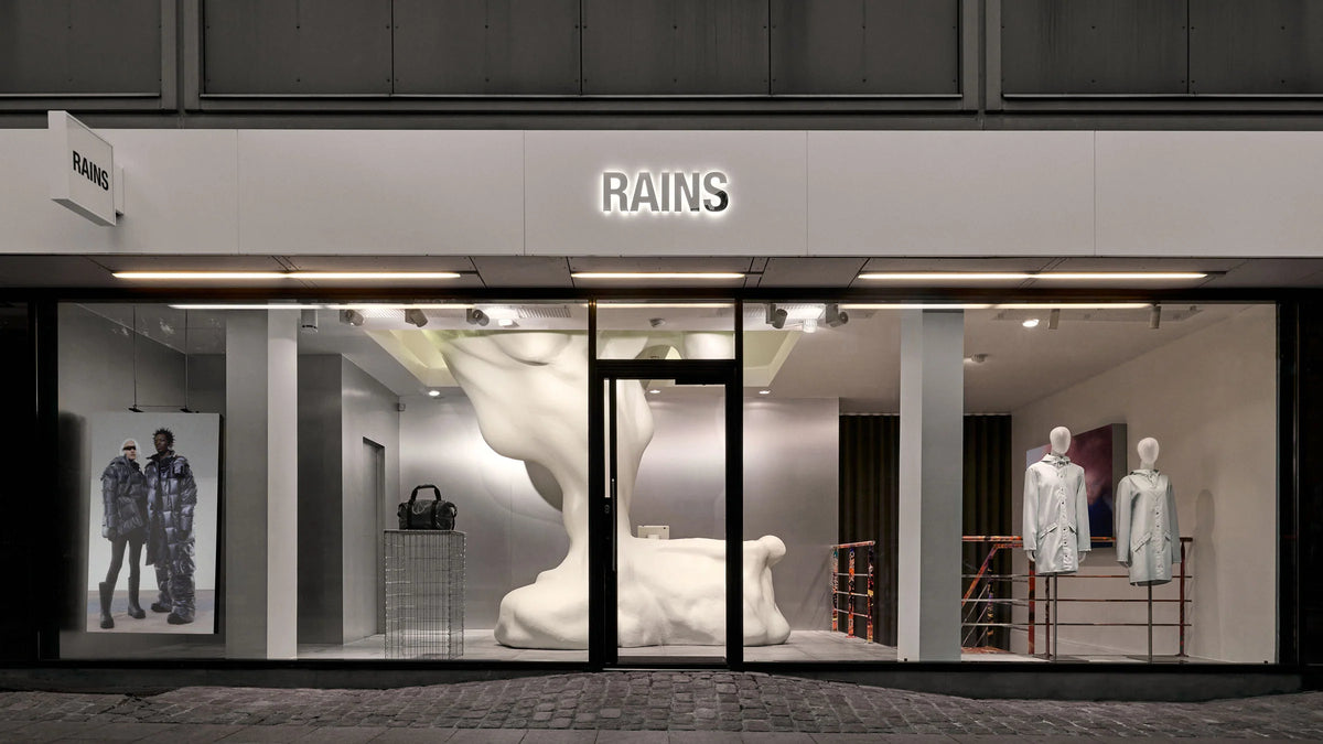 RAINS intro image