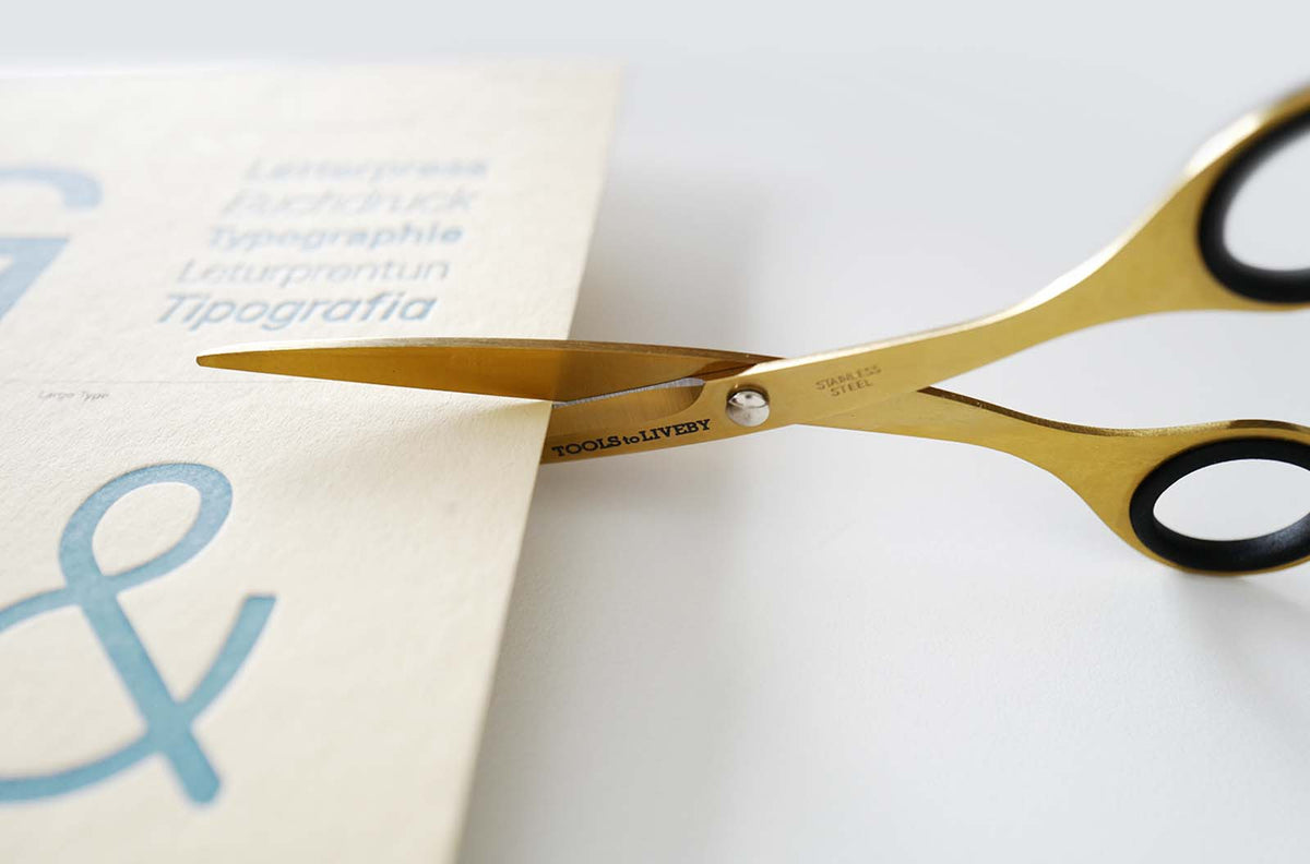 IMG 7027