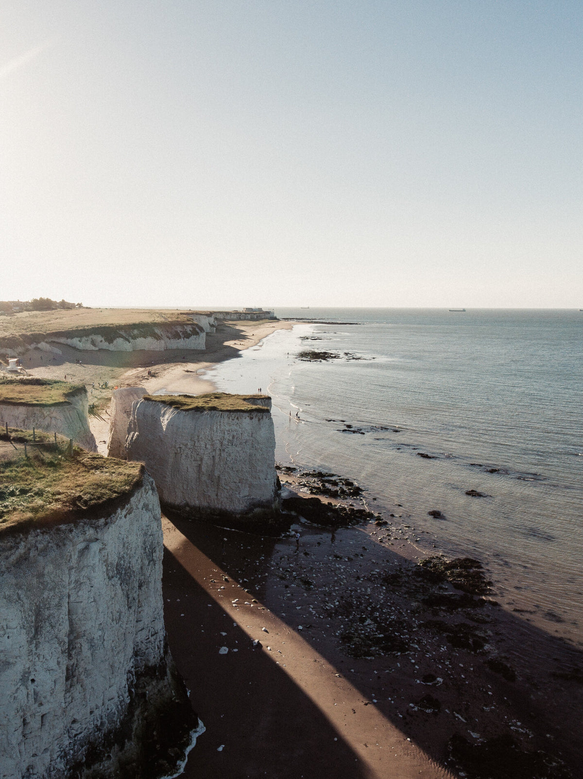 Haeckels intro_image