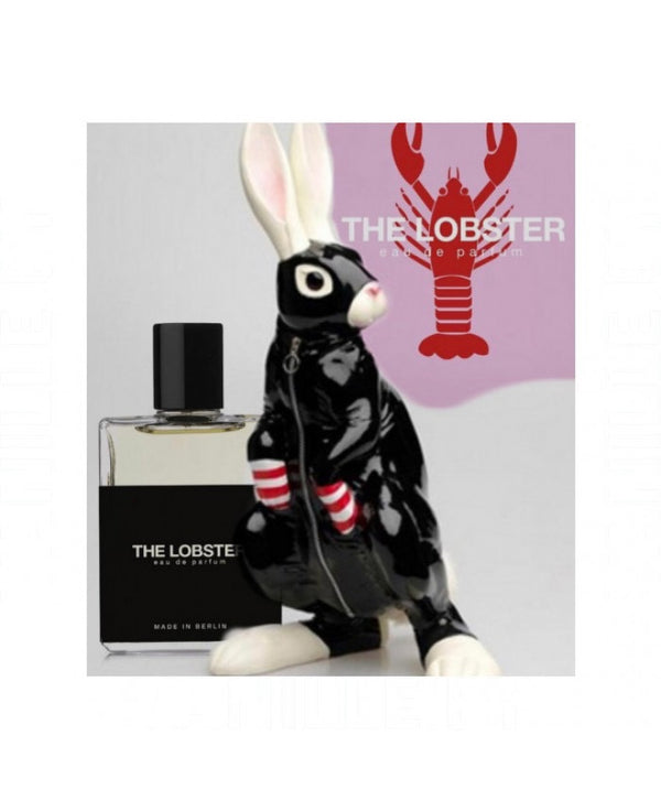 Moth and Rabbit brand image