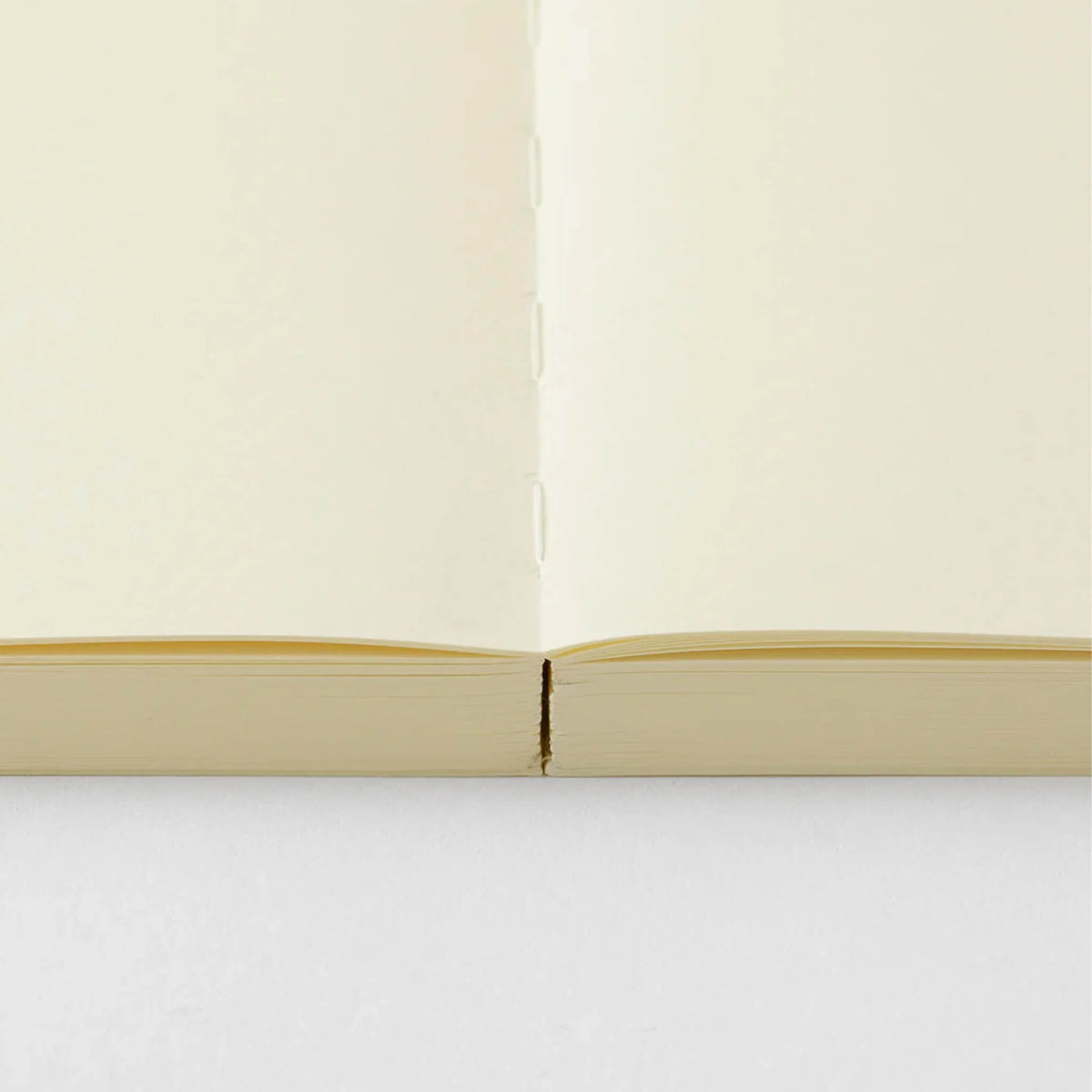 MD Product Notebook Journal Codex A5 – 1 Day 1 Page [Blank]