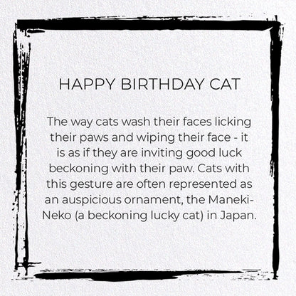 Happy Birthday Cat Japanese Card