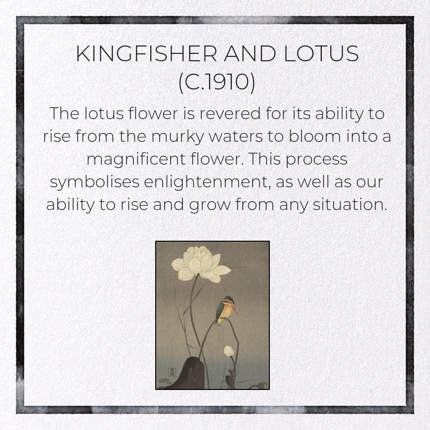 Kingfisher and Lotus (C.1910) Japanese Card