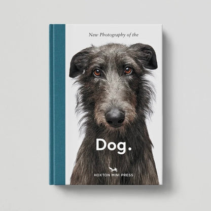 New Photography of the Dog.
