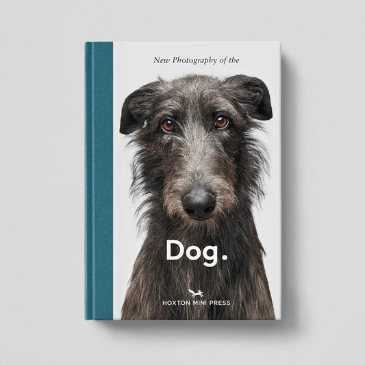 New Photography of the Dog.