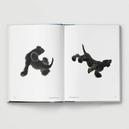 New Photography of the Dog.