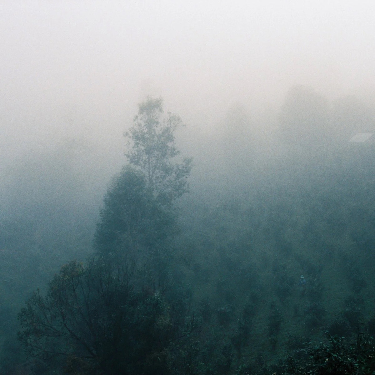 Image 329
