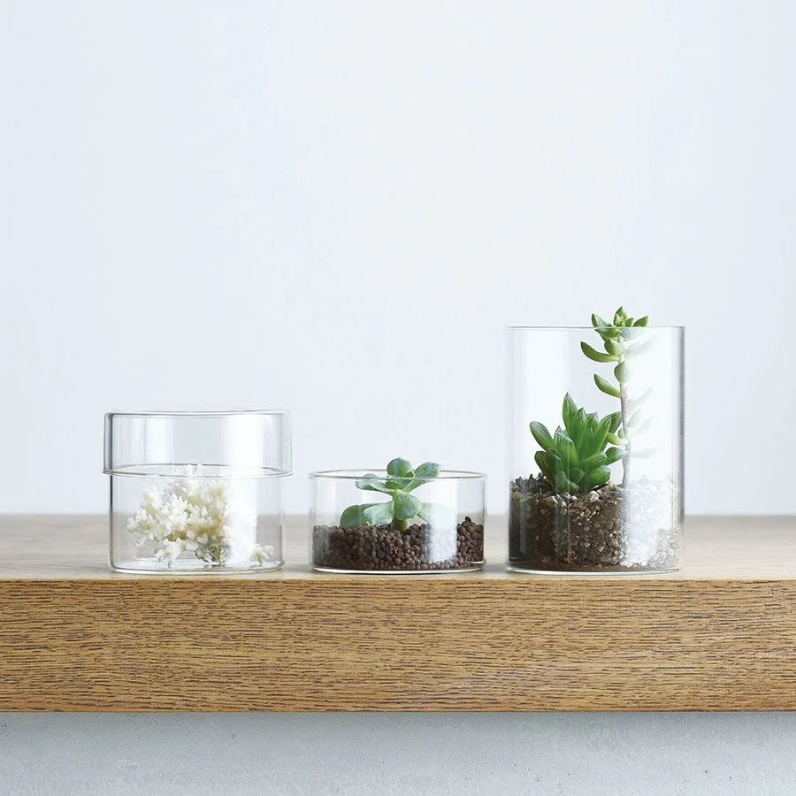 Kinto Schale Glass Case