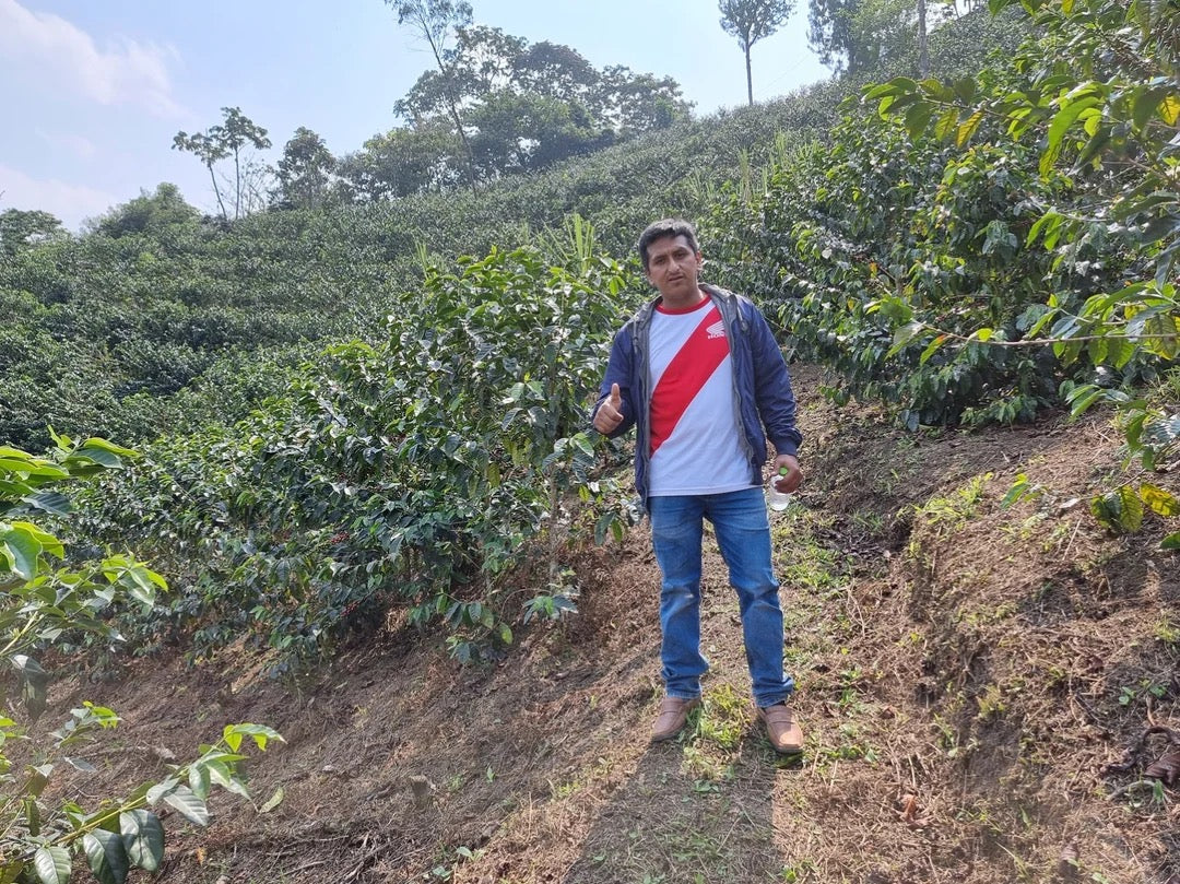 Campbell & Syme - Roger Chilcon, Peru 250g