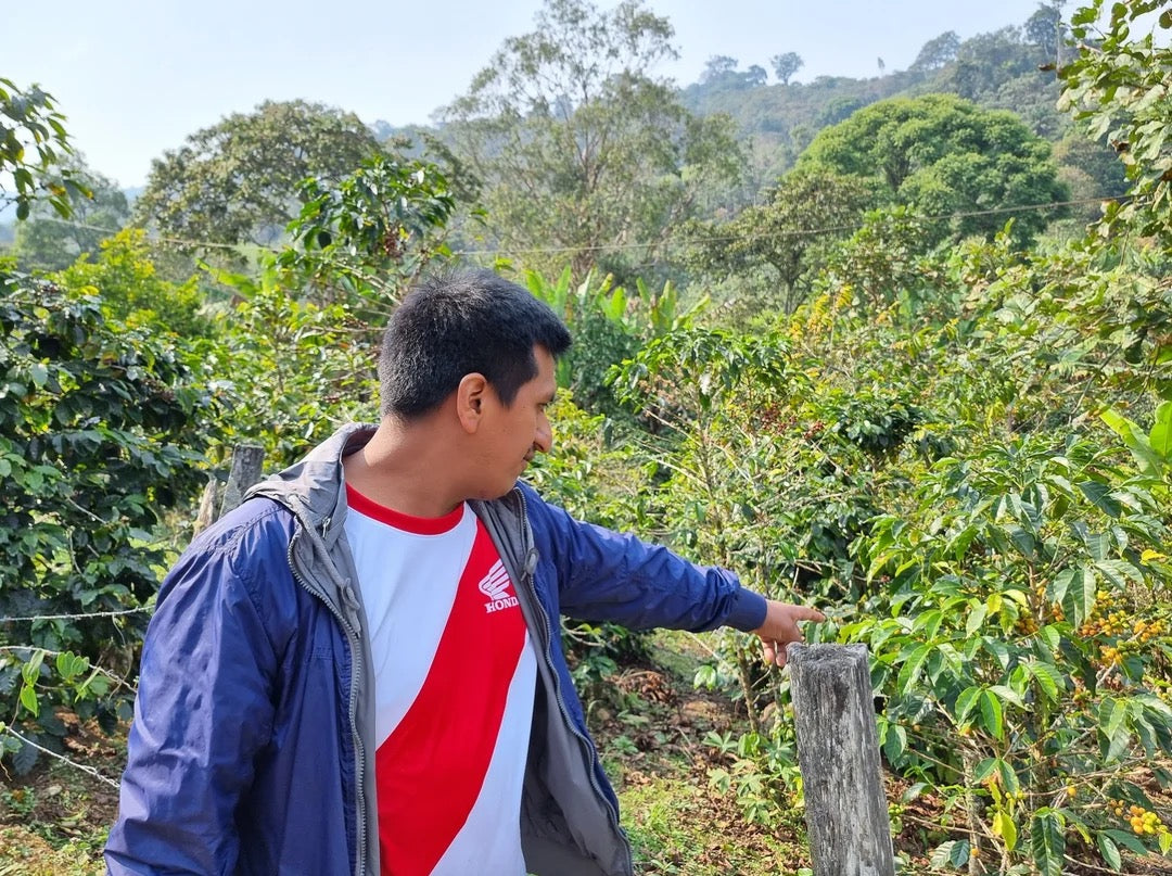 Campbell & Syme - Roger Chilcon, Peru 250g