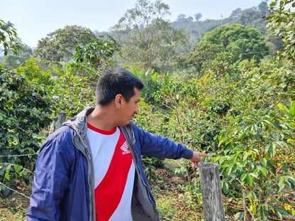 Campbell & Syme - Roger Chilcon, Peru 250g