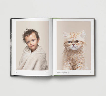 New Photography of the Cat.