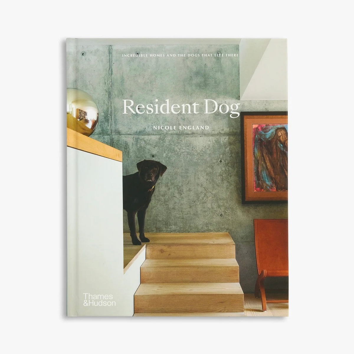 Resident Dog