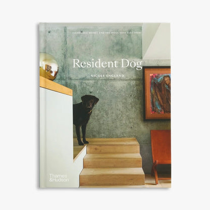 Resident Dog