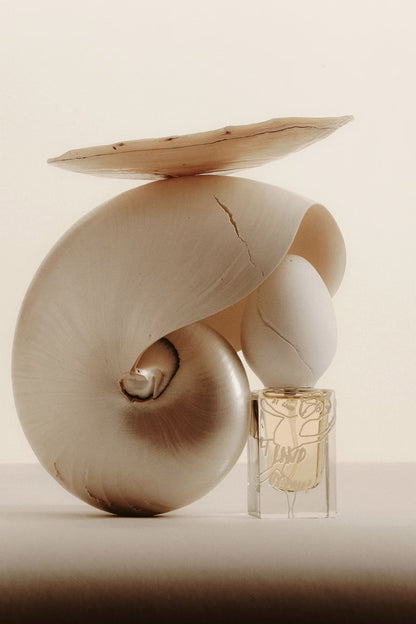 Perfume Who At Land EDP 30ml