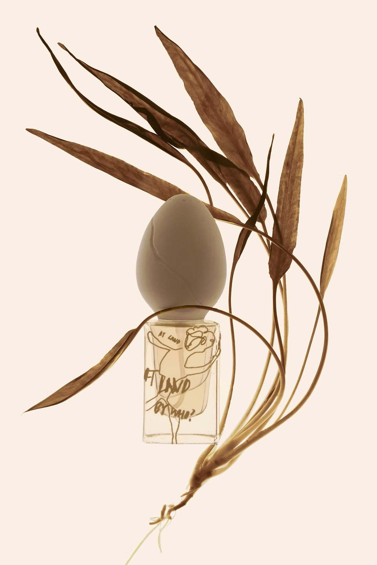 Perfume Who At Land EDP 30ml