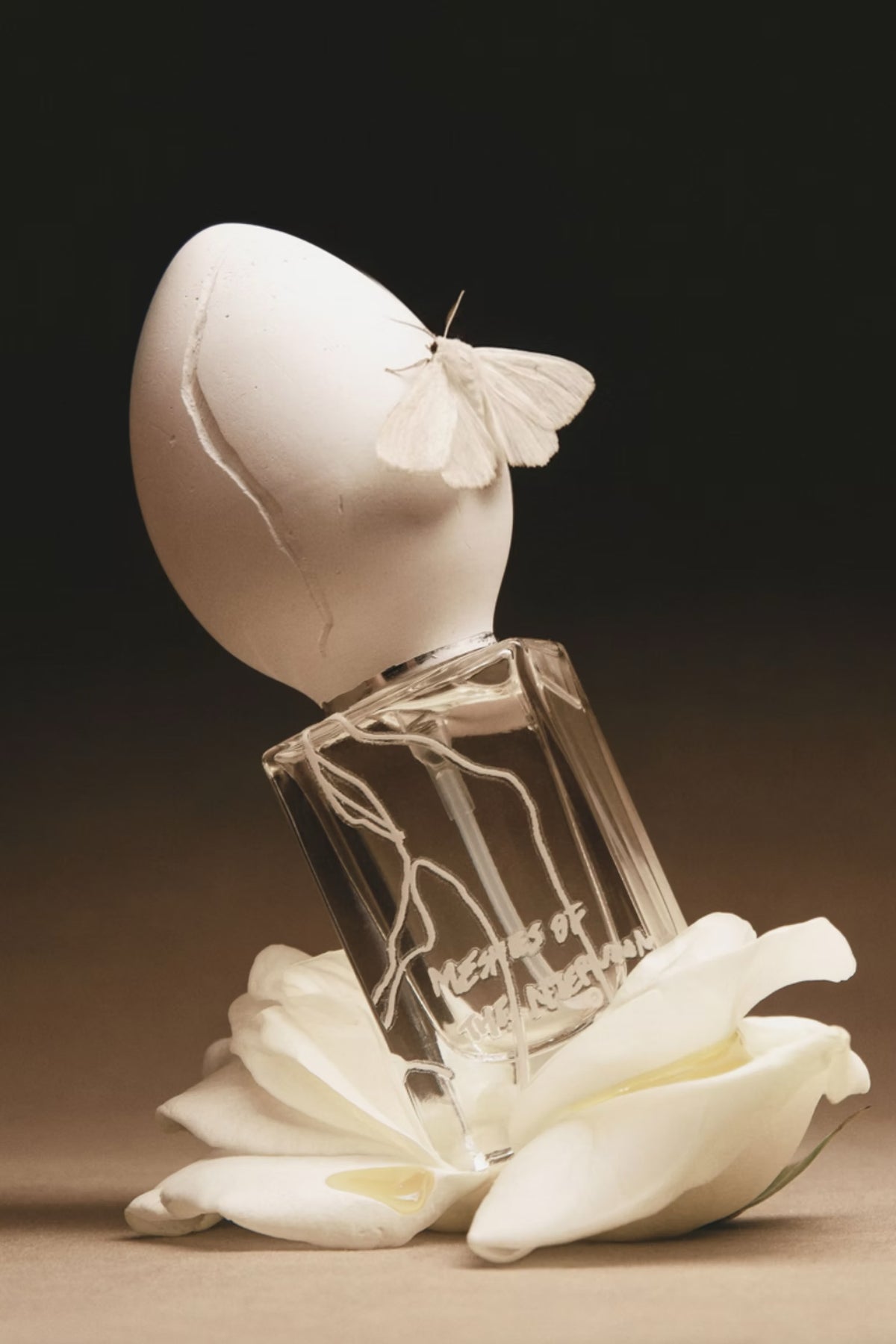 
Perfume Who Meshes of the Afternoon EDP 30ml