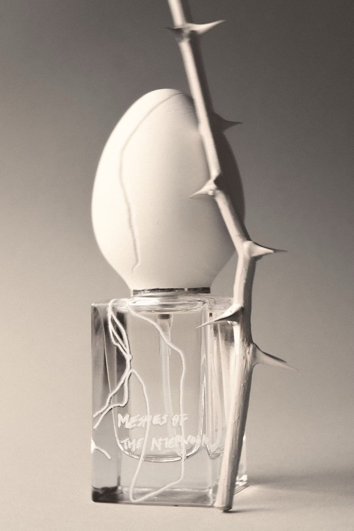 Perfume Who Meshes of the Afternoon EDP 30ml