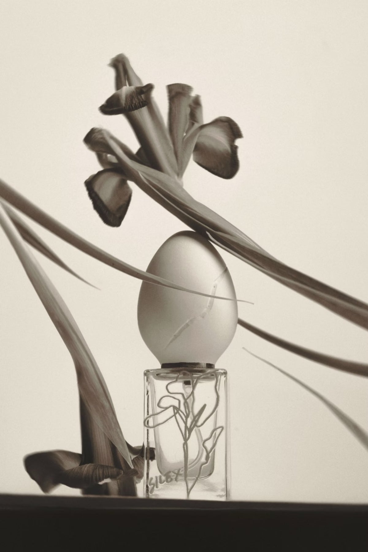 Perfume Who Silex EDP 30ml