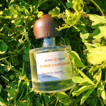 Scent Trunk Cloud Cardamom EDP 30ml