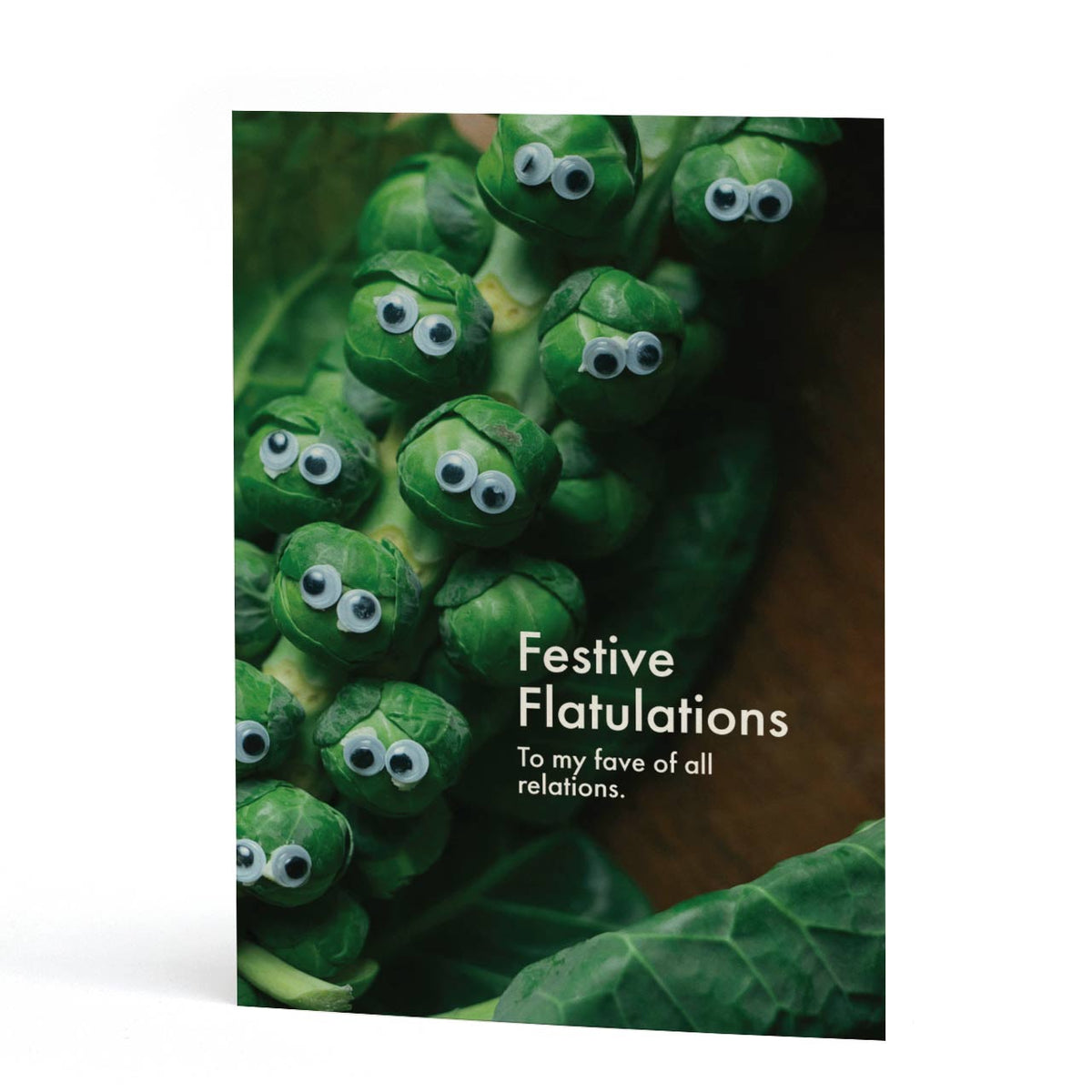 Festive Flatulations Christmas Card
