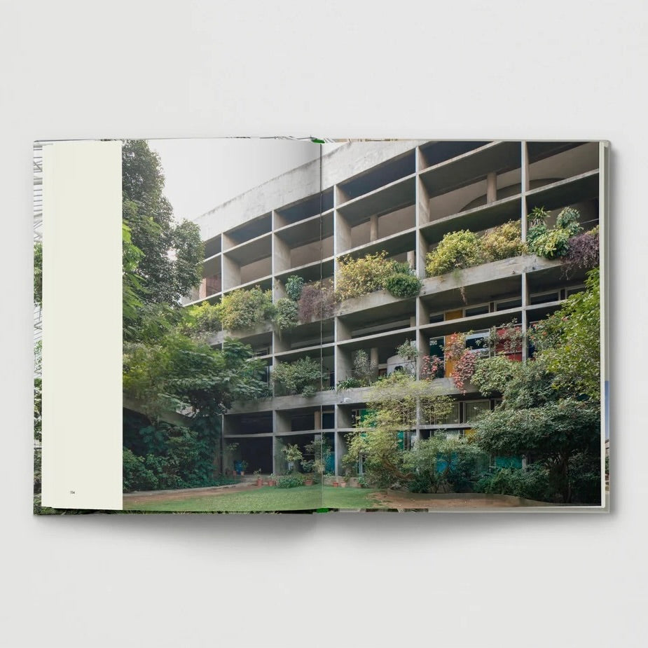 Brutalist Plants
