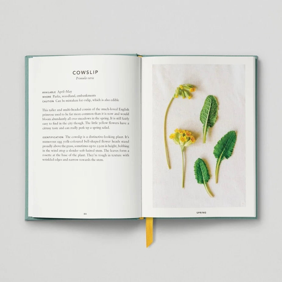 The Urban Forager