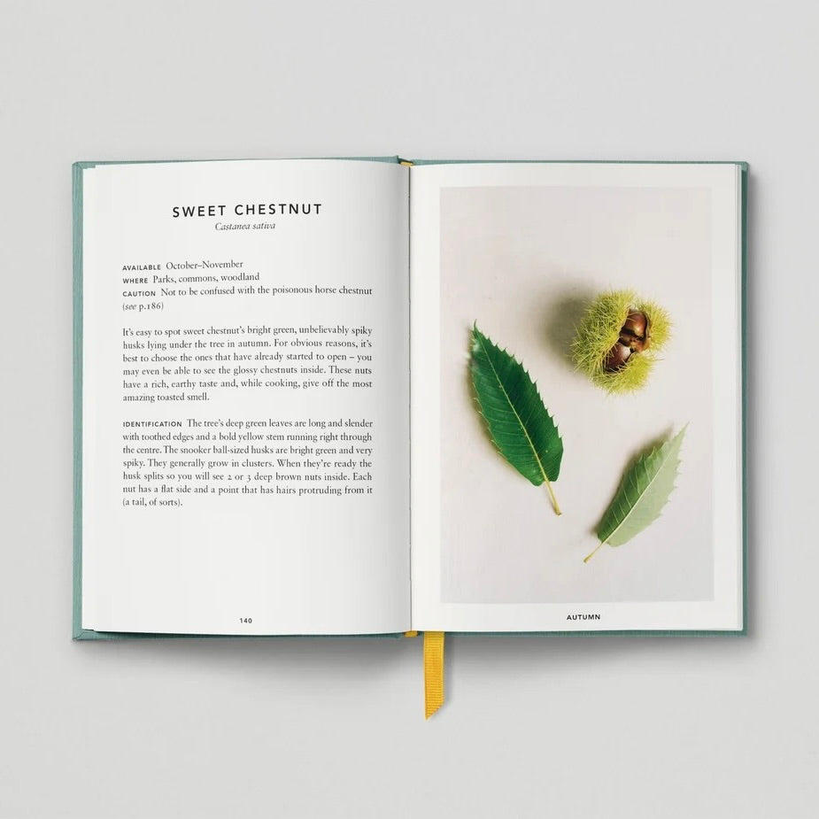 The Urban Forager