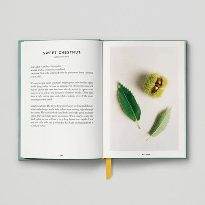 The Urban Forager
