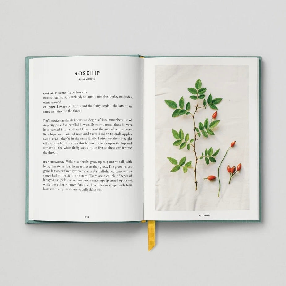 The Urban Forager