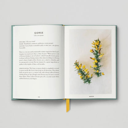 The Urban Forager