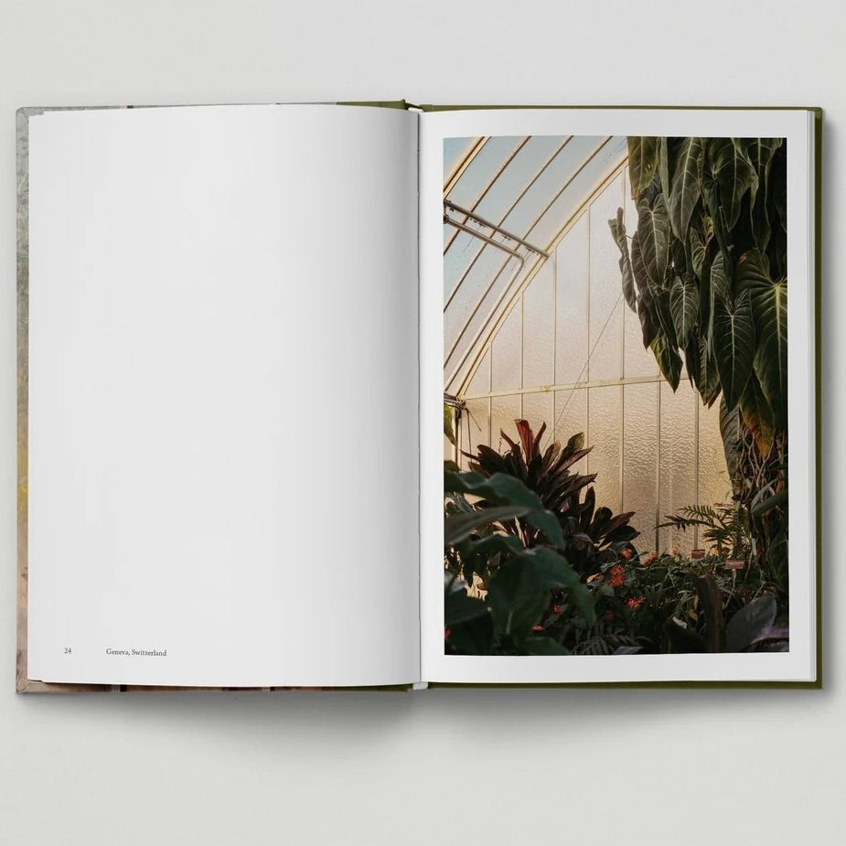 Botanical