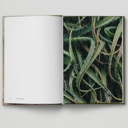 Botanical