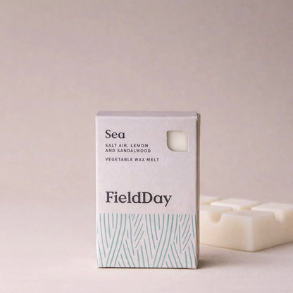 Field Day Classic Wax Melt 75g