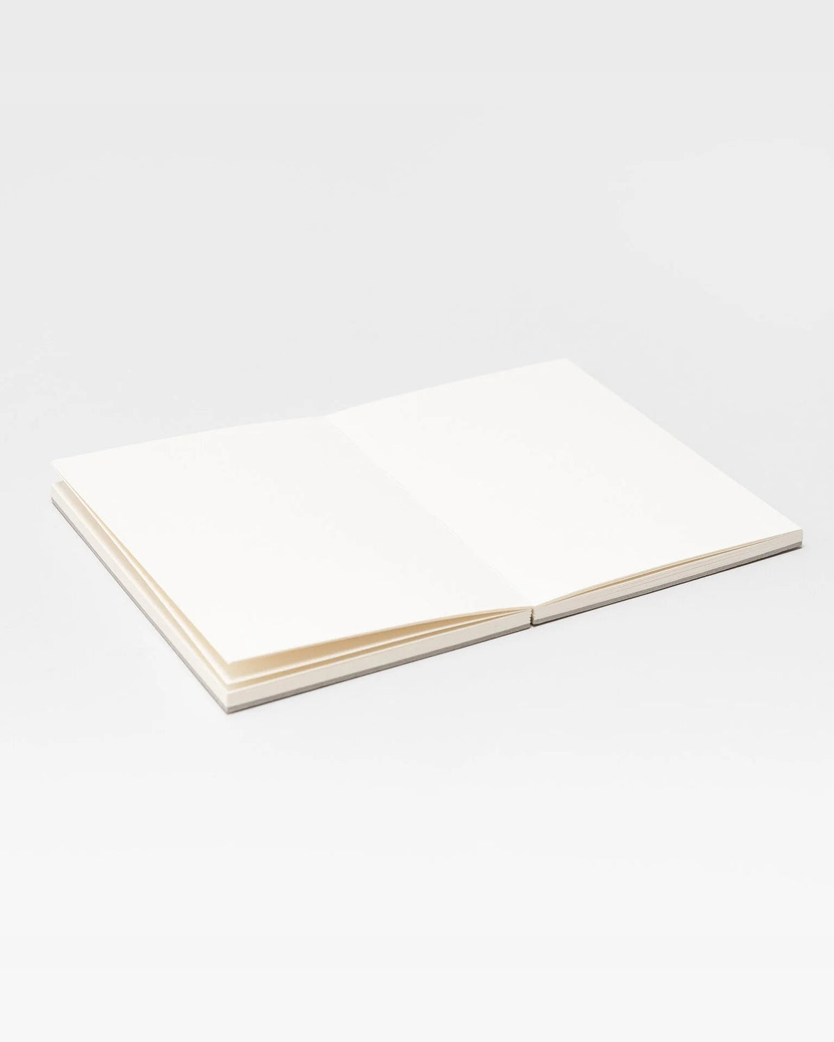 
Pith Kabosu Sketchbook