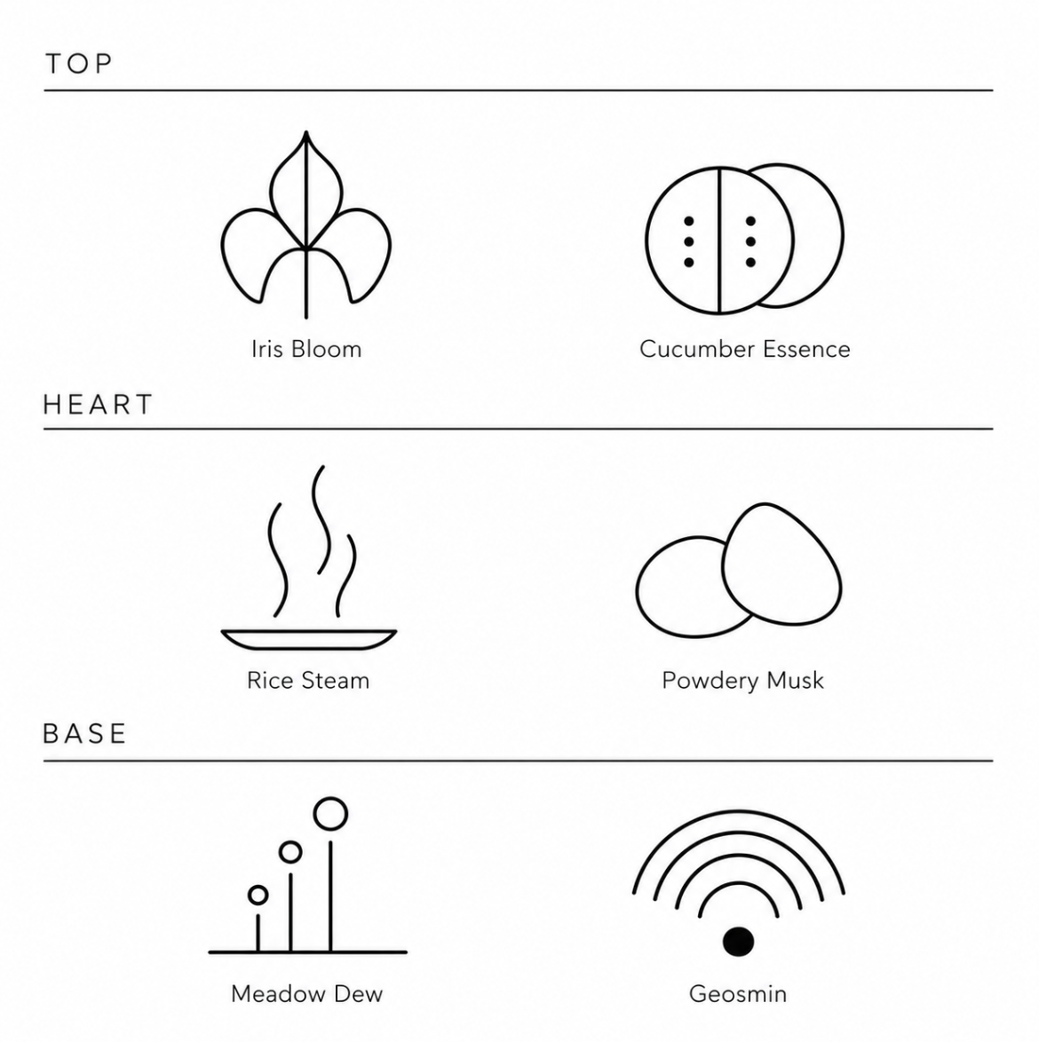 Illustrated fragrance notes